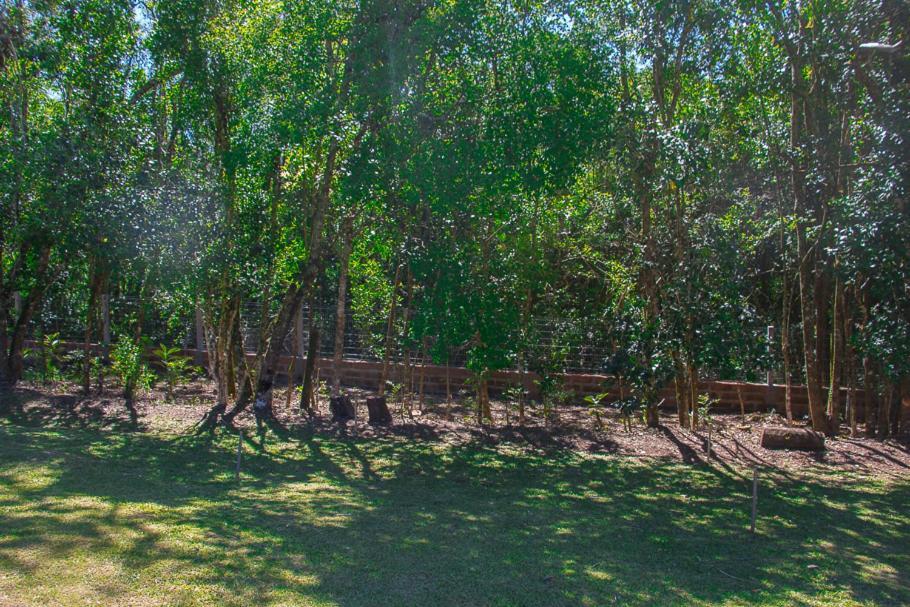 Pousada Villa Romantica Nova Petropolis Eksteriør billede